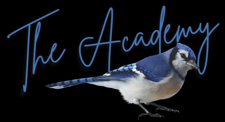 ICTS Academy logo